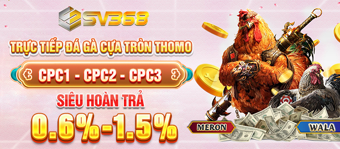 Nhà Cái Uy Tín XN - Bí Mật Chọn Sân Chơi Cá Cược An Toàn